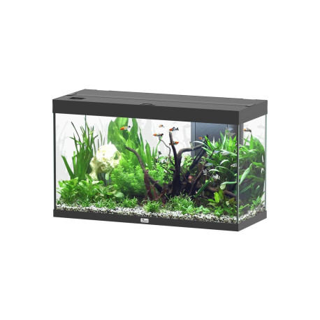 Aquatlantis SPLENDID 100x40x61